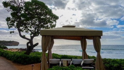 Grand Hyatt Kauai Resort and Spa Experiences