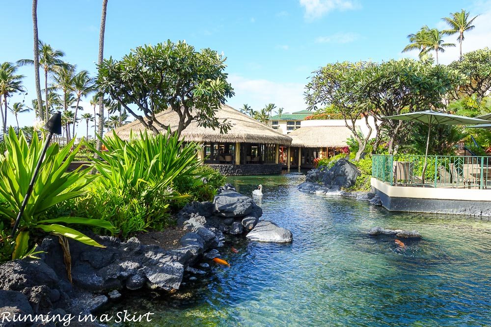 Grand Hyatt Kauai Resort and Spa Experiences