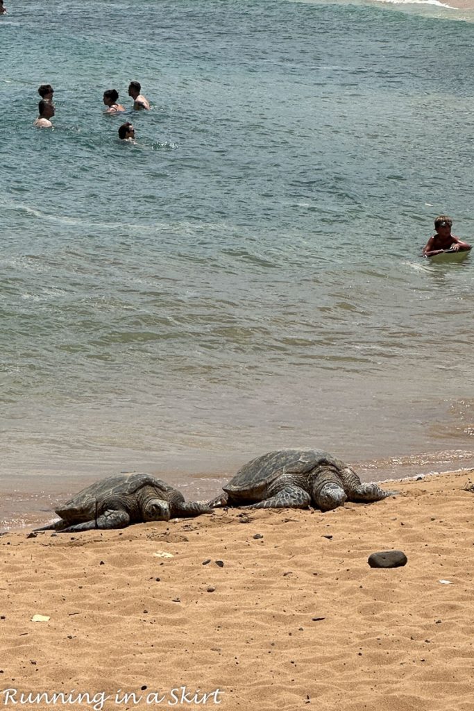 Top Things to do In Kauai with Kids