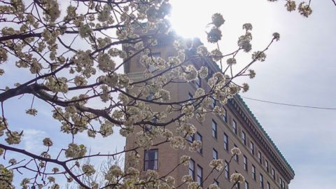 48 Hours in Asheville a Local's Guide
