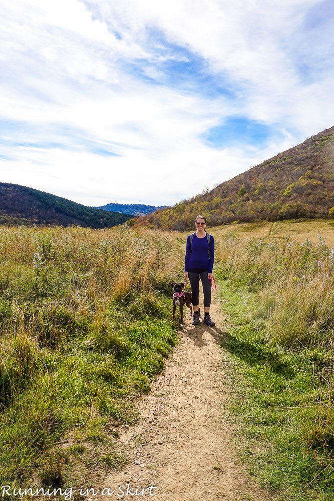 Essential Tips for Hiking with Dogs
