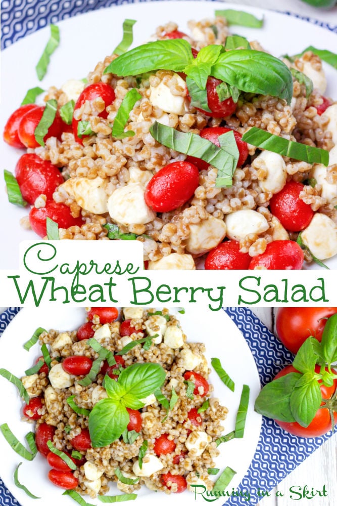 6 Ingredient Caprese Wheat Berry Salad recipe. Looking for wheat berry recipes or how to cook wheat berry? This healthy, nutrition-packed salad is a perfect food. Simple with fresh mozzarella, tomato, and basil. Vegetarian and clean eating. You can sub quinoa for a gluten free idea. / Running in a Skirt via @juliewunder