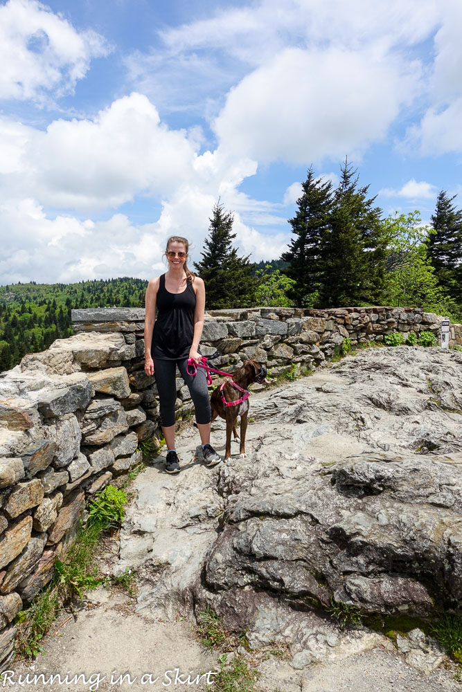 Devil's Courthouse Hike & Frying Pan Tower Hike