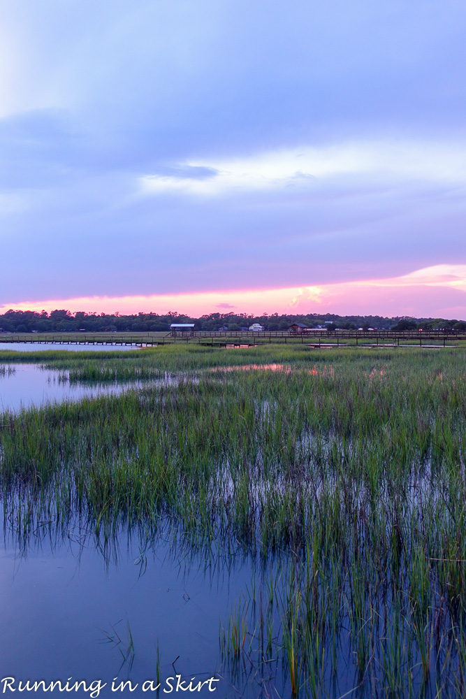 South Carolina Hammock Coast SC