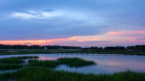 South Carolina Hammock Coast SC