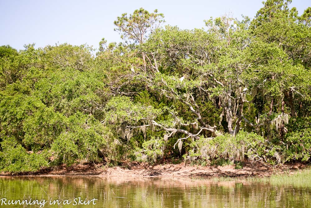 South Carolina Hammock Coast SC