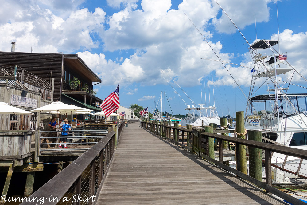 South Carolina Hammock Coast SC