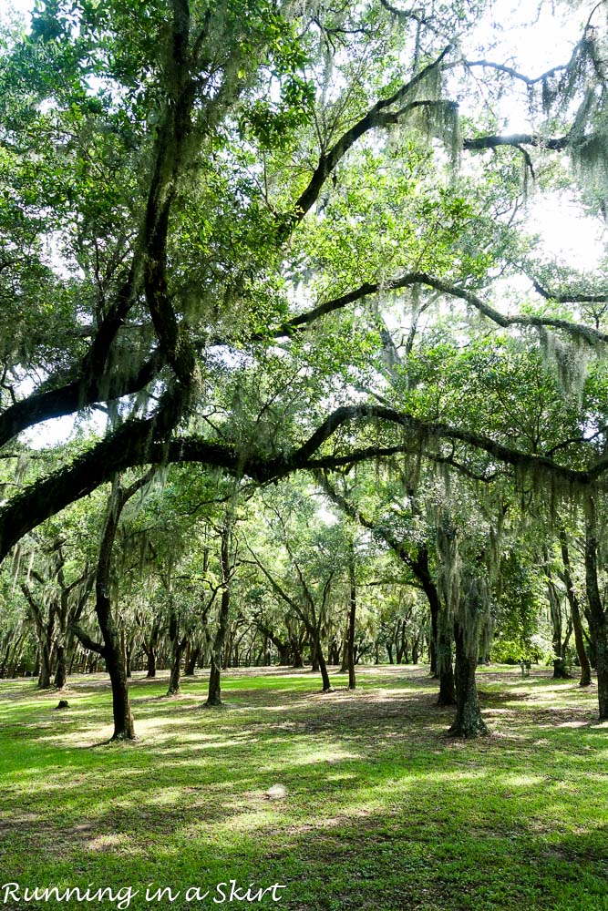 South Carolina Hammock Coast SC