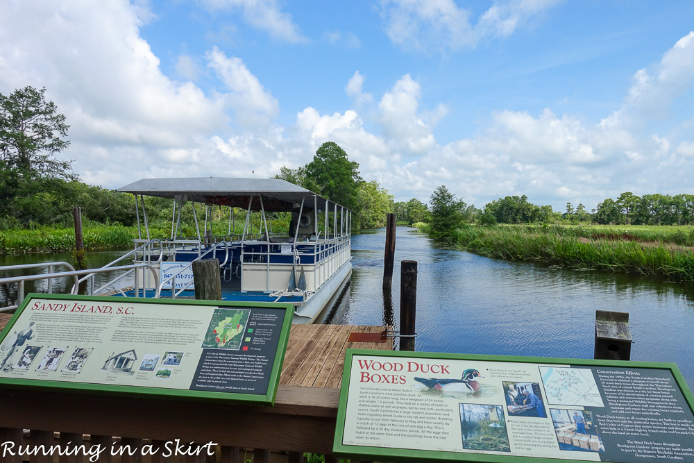 South Carolina Hammock Coast SC