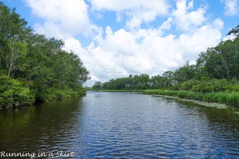 South Carolina Hammock Coast SC