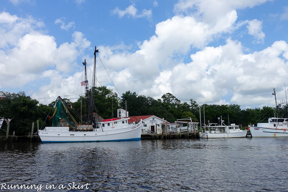 South Carolina Hammock Coast SC