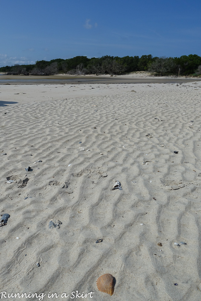 South Carolina Hammock Coast SC