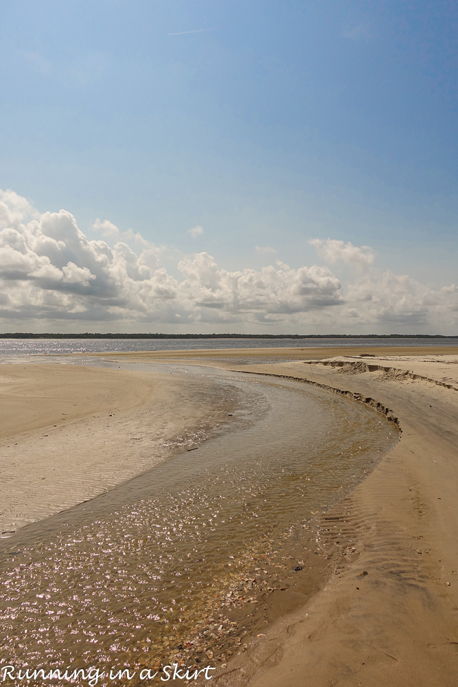 South Carolina Hammock Coast SC