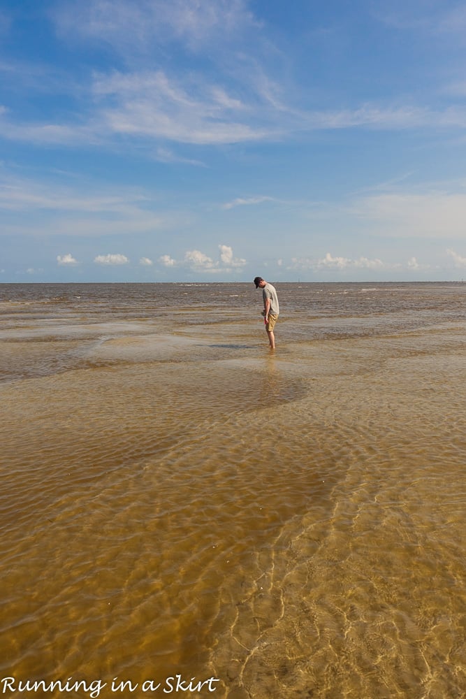 South Carolina Hammock Coast SC