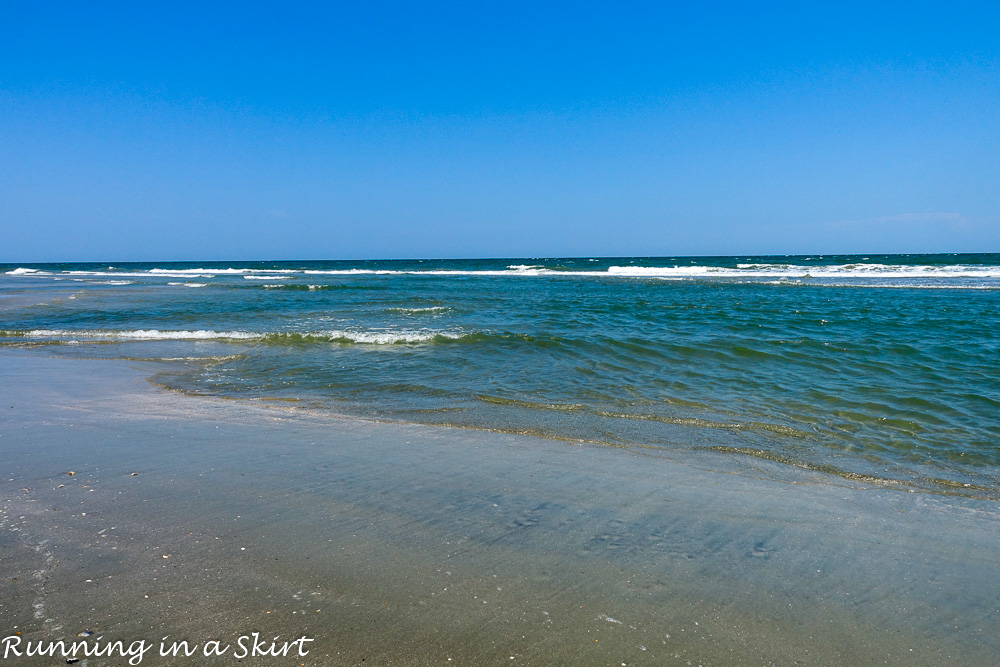 South Carolina Hammock Coast SC