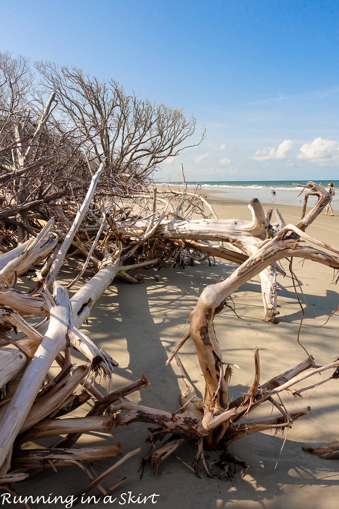 South Carolina Hammock Coast SC