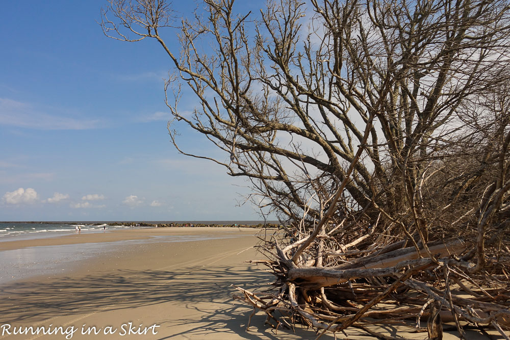 South Carolina Hammock Coast SC