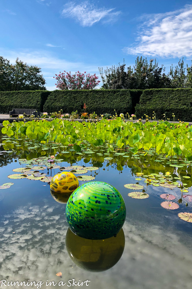 Chihuly at Biltmore Asheville