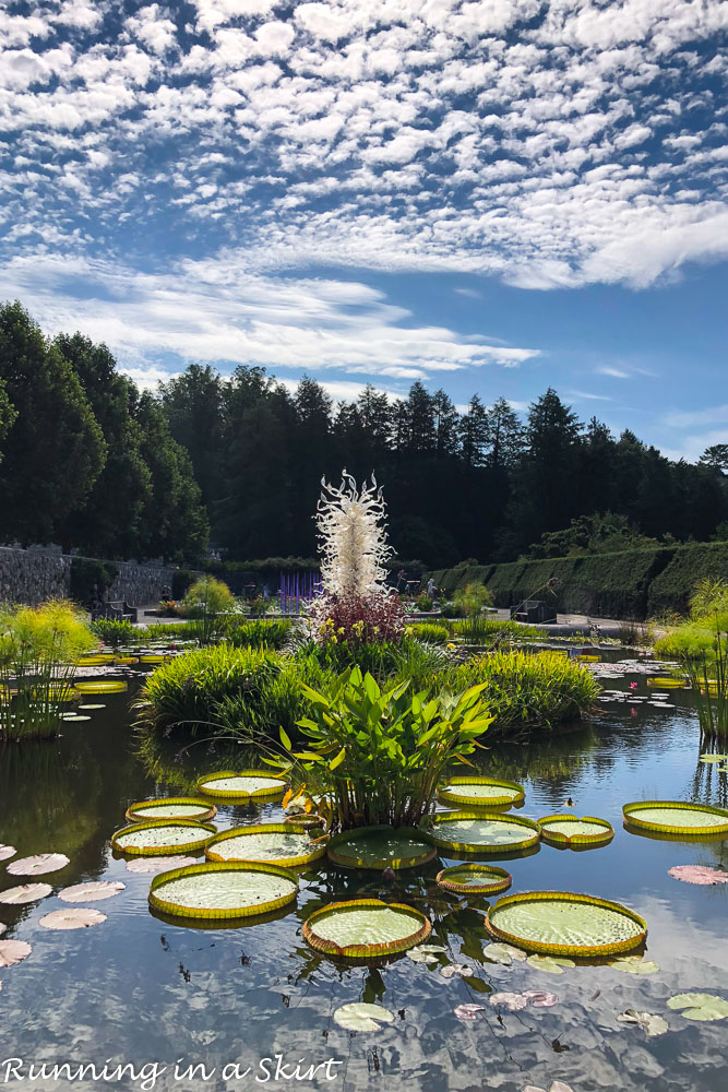 Chihuly at Biltmore Asheville