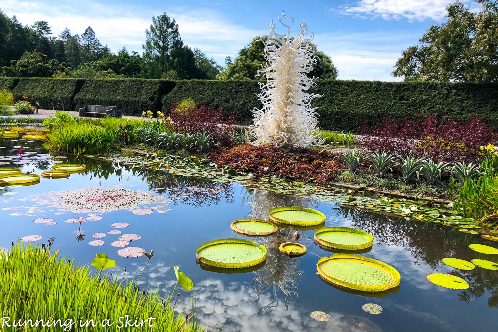 Chihuly at Biltmore Asheville