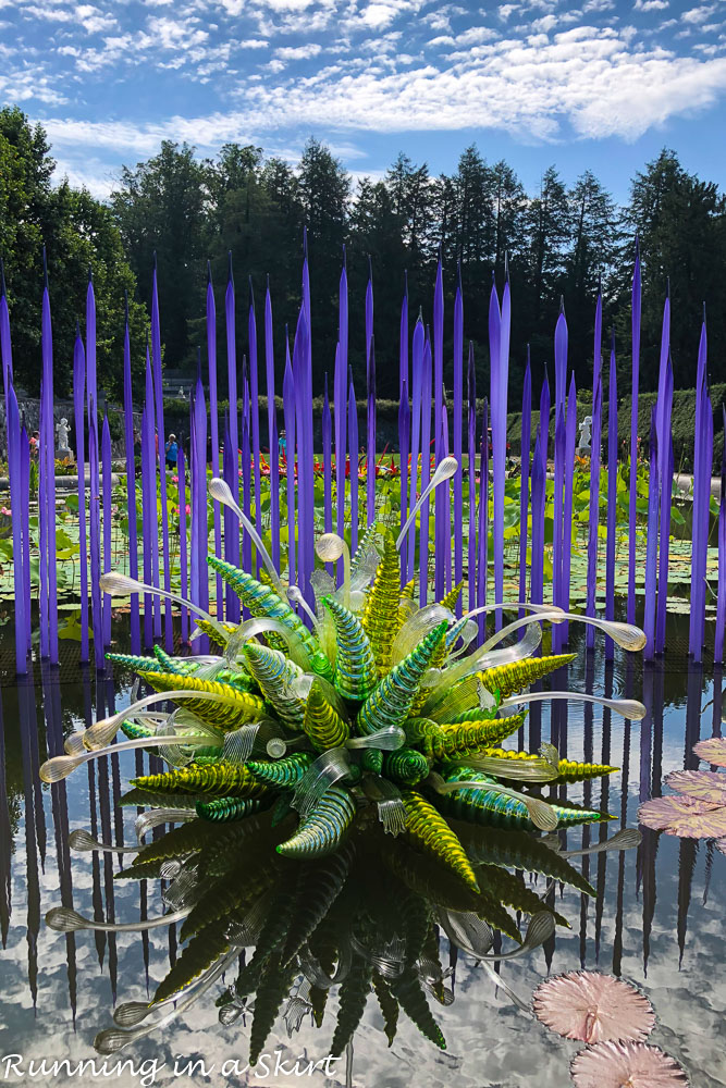 Chihuly at Biltmore Asheville