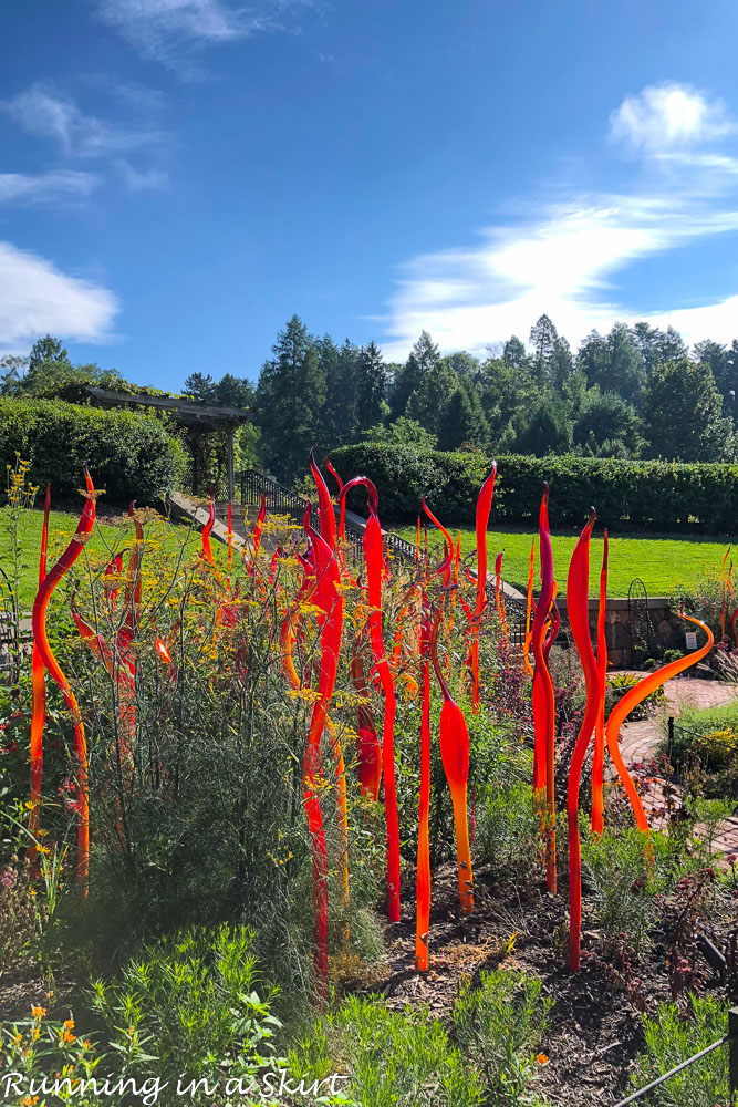 Chihuly at Biltmore Asheville