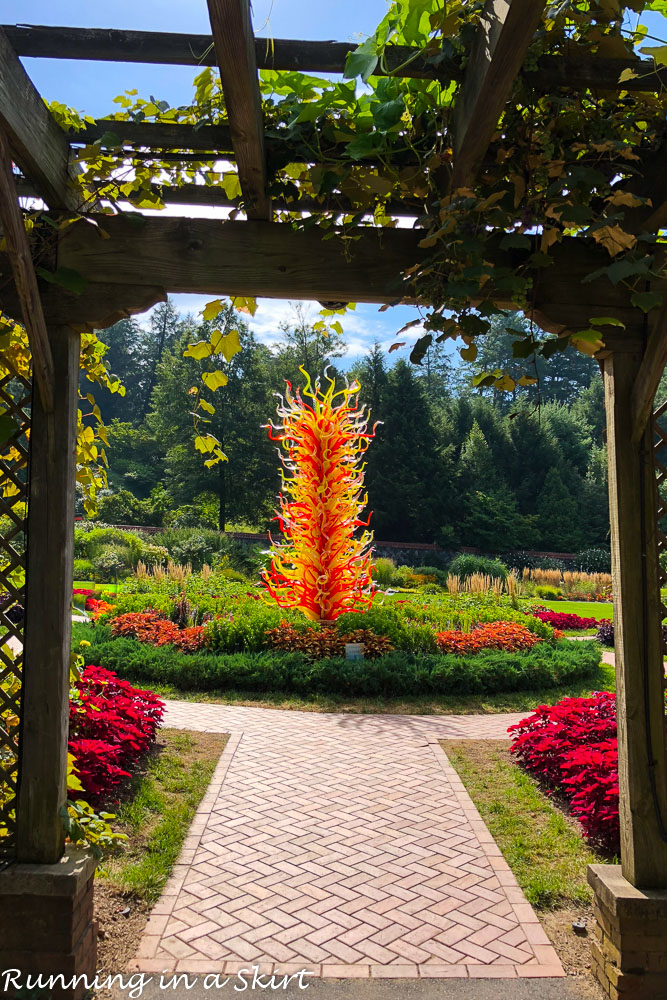 Chihuly at Biltmore Asheville