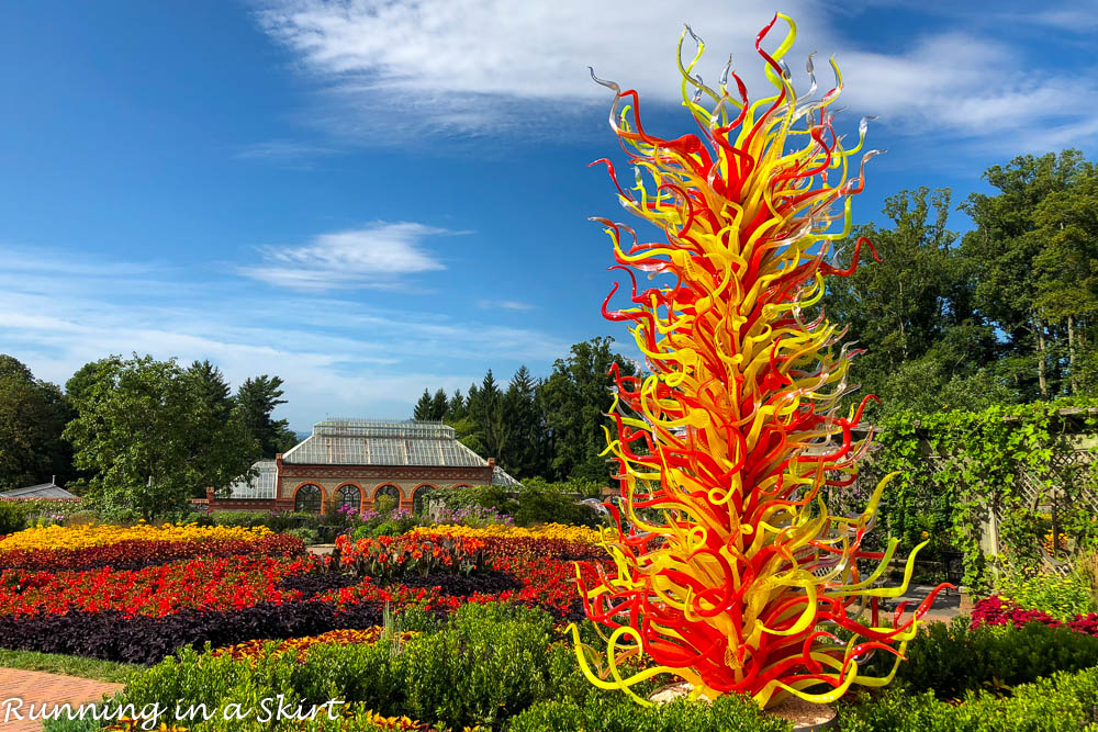 Chihuly at Biltmore Asheville