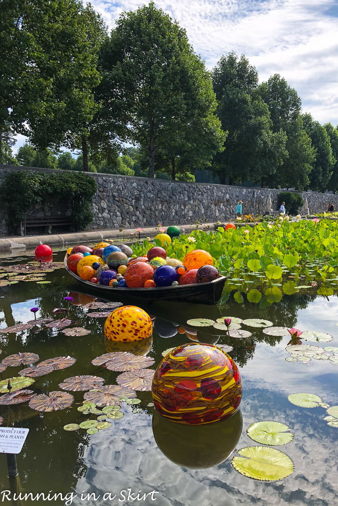 Chihuly at Biltmore Asheville