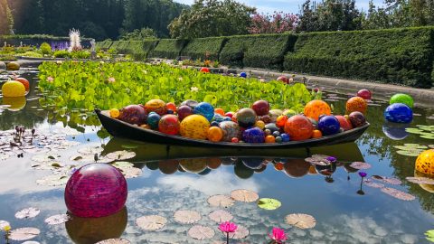 Chihuly at Biltmore Asheville
