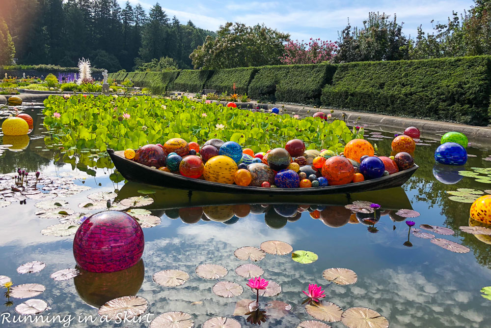 Chihuly at Biltmore Asheville