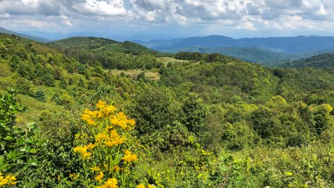 Max Patch Hike near Asheville NC