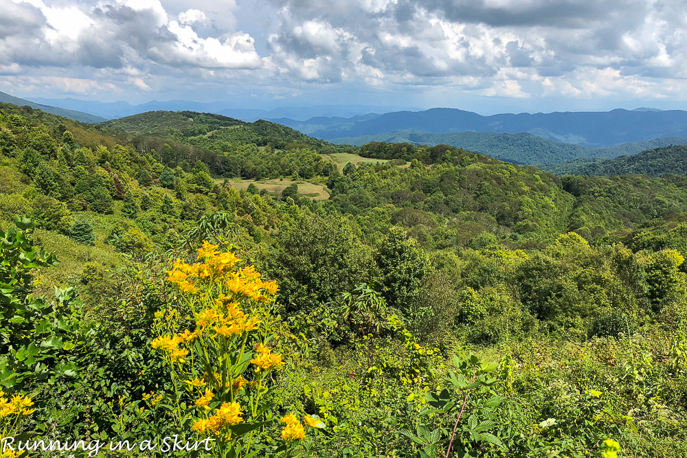 Max Patch Hike near Asheville NC