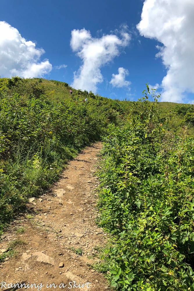 Max Patch Hike near Asheville NC