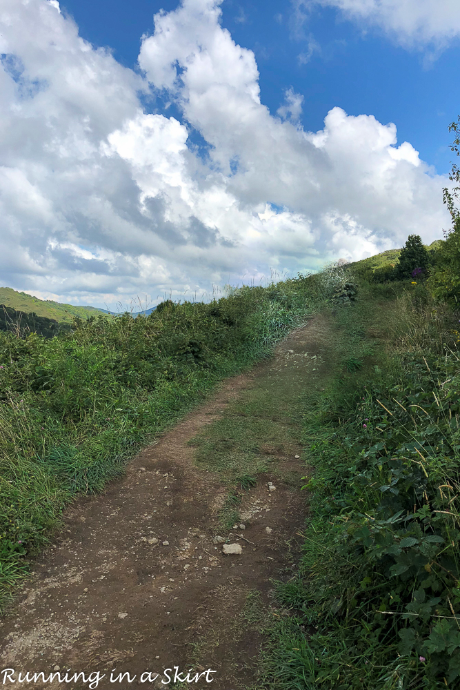 Slope to the top of Max Patch Hike near Asheville NC