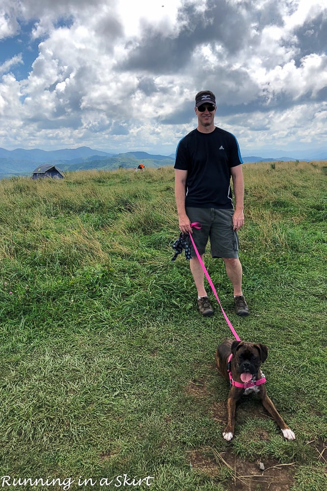 Max Patch Hike near Asheville NC with dog