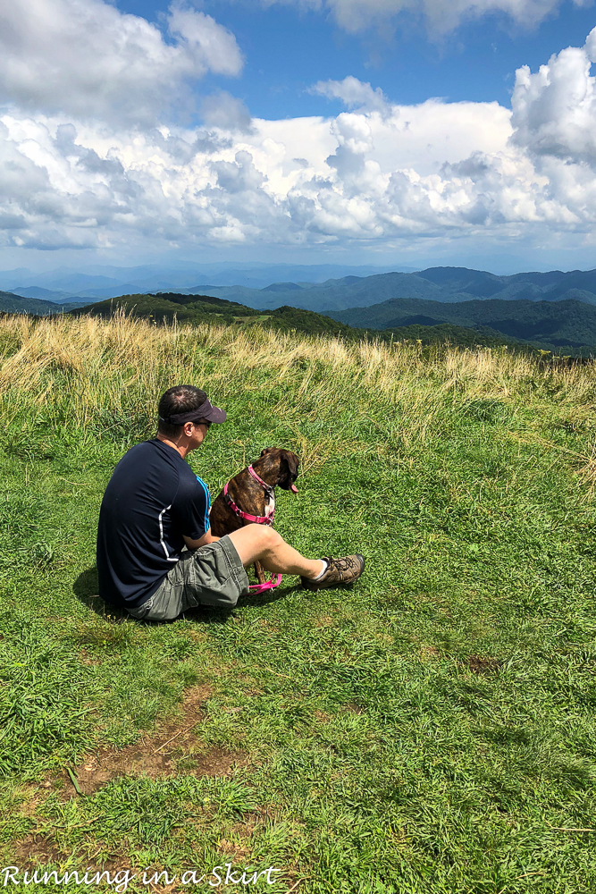 Max Patch Hike near Asheville NC