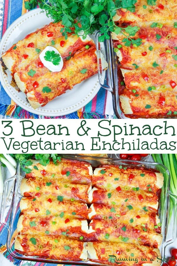 The Best Easy & Healthy Vegetarian Enchiladas recipe- Three Beans and Spinach Vegetarian Enchiladas. This healthy Mexican recipe is packed with veggies and perfect for weeknight meals. Topped with greek yogurt and a small amount cheese. These taste amazing and are freezer friendly! / Running in a Skirt #vegetarian #mexican #recipe #healthy #greekyogurt #healthyliving #spinach via @juliewunder