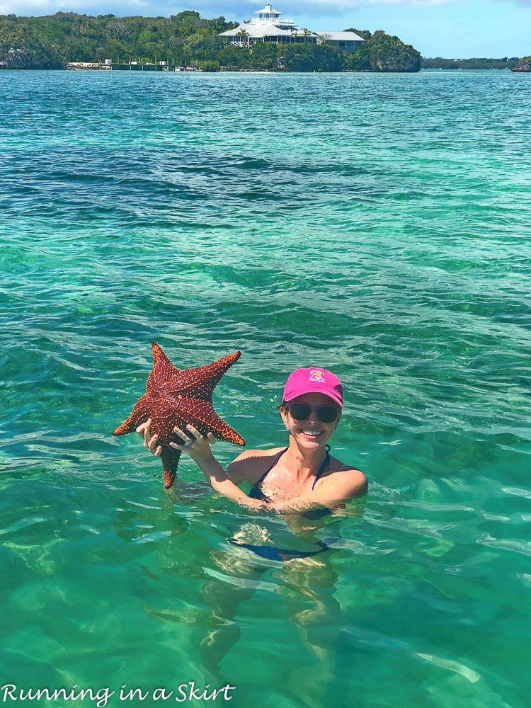 FInding starfish - What to do in Hopetown Bahamas