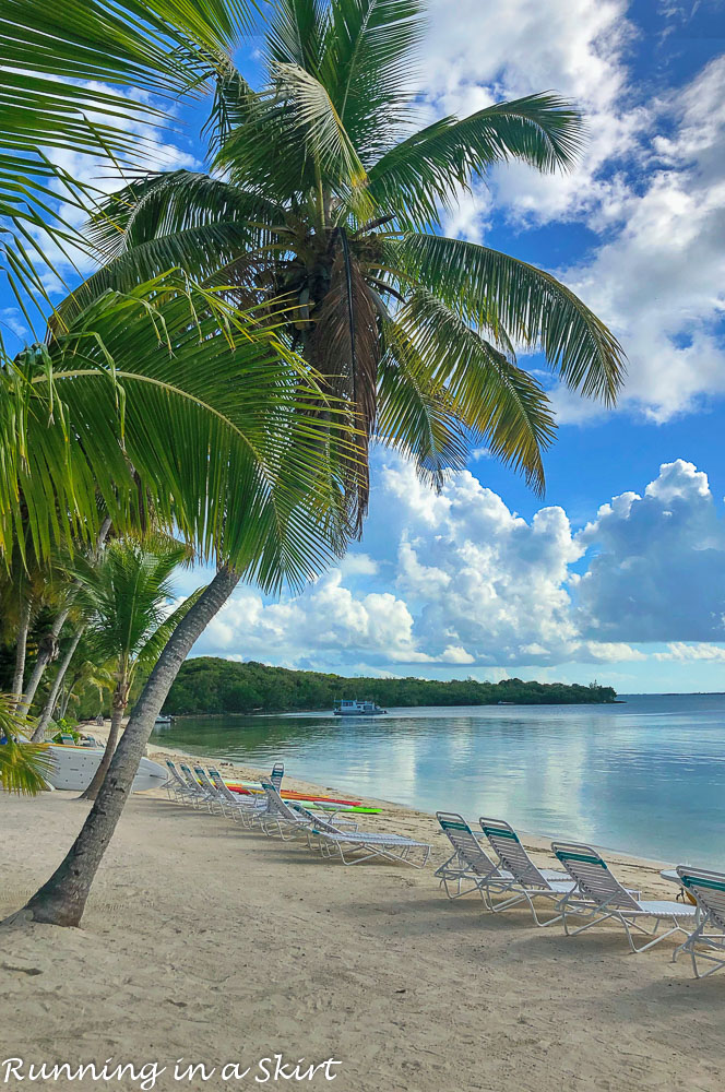 Grabbers at the Abacos.