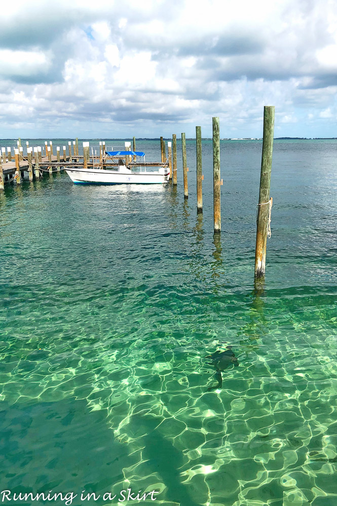 Dock at firefly at Elbow Cay.