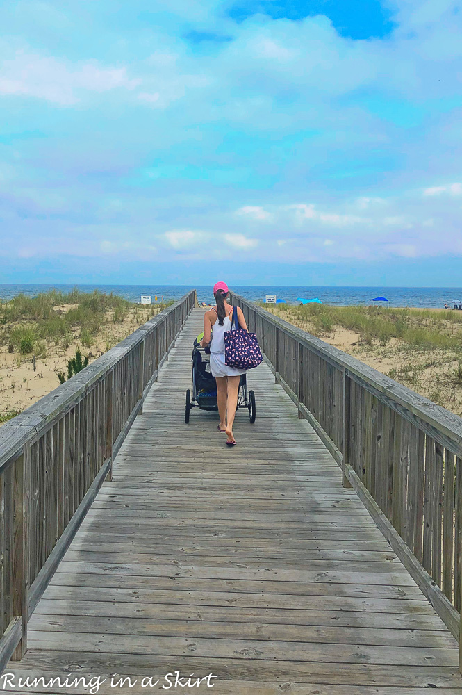 Boardwalk leading to Fenwick Island State Park.