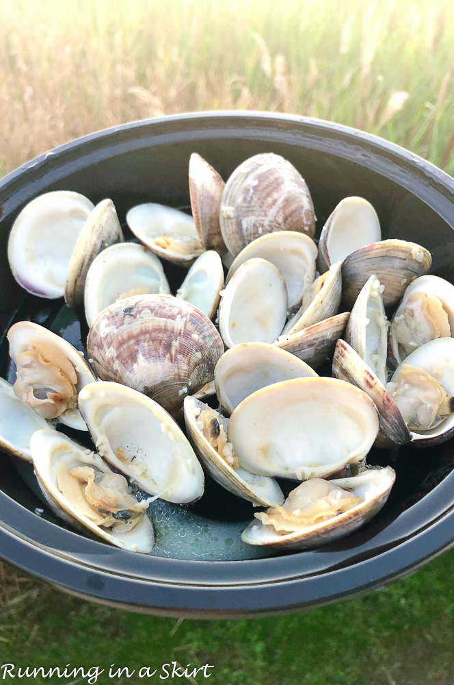 DB Seafood Company Clams