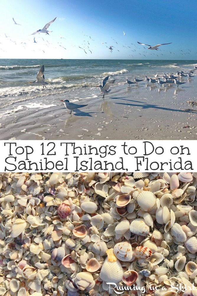 Top 12 Things to Do on Sanibel Island, Florida - including the best beach, shells, food and sunrise/ sunset.  Also includes the lighthouse. This gorgeous island is one of the best parts of Florida and a nature lovers paradise! Includes great options for kids too. / Running in a Skirt #sanibel #travel #travelblogger #wanderlust #beach #sunset #sunrise #nature via @juliewunder