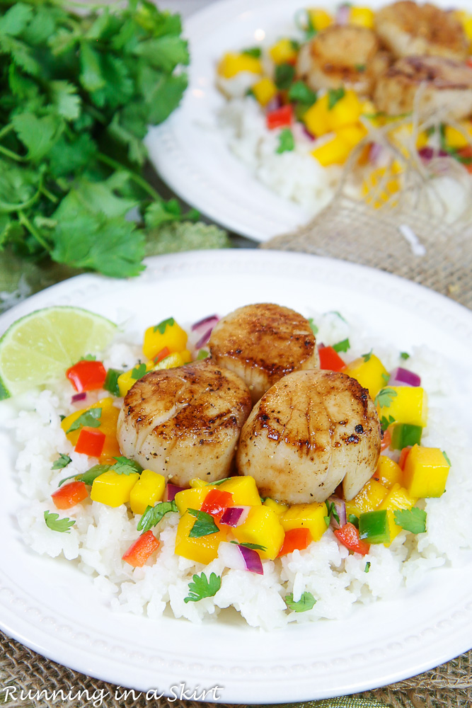 Seared Scallops on mango salsa and coconut rice on a white plate.