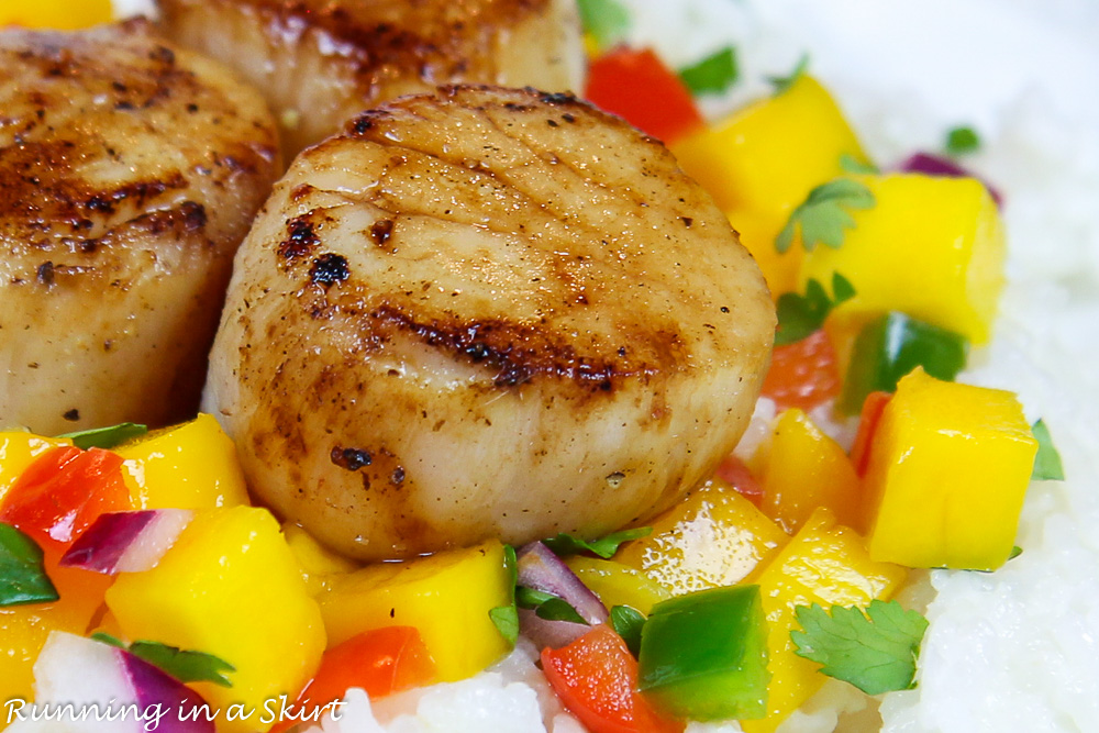 Close up of pan seared scallop.