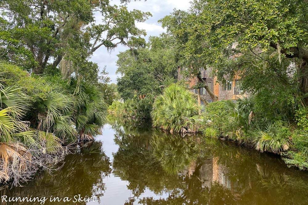 Marsh on Kiawah Island South Carolina.