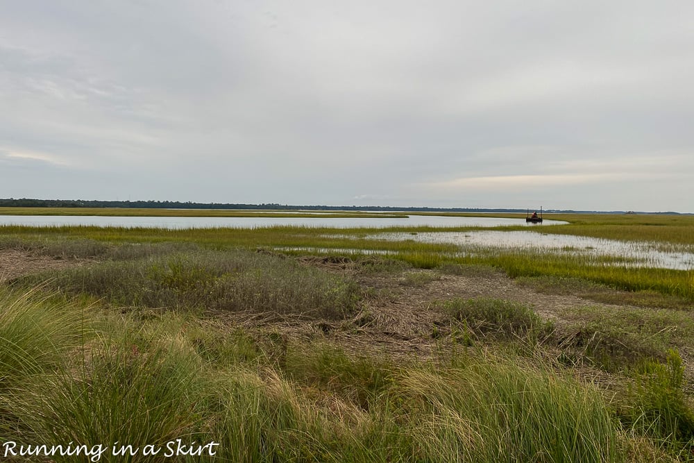 Marsh on Kiawah Island.