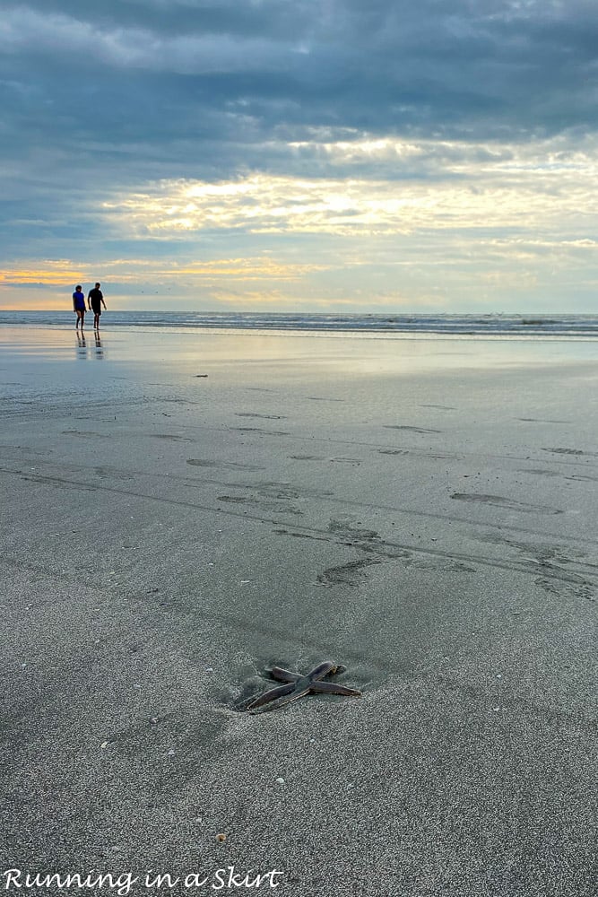 Starfish Kiawah Island SC