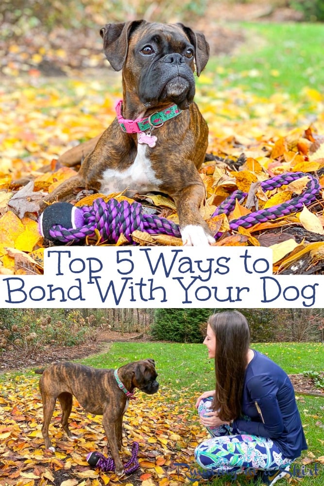 How to Bond with Your Dog - top ways on how to build a strong bond with your dog and let them know you care. Includes tips on how to help your dogs mental and physical health. / Running in a Skirt #AD #PackedWeekend #ThePackonPrime via @juliewunder